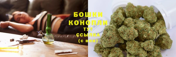 ешки Надым