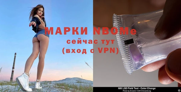 ПСИЛОЦИБИНОВЫЕ ГРИБЫ Михайловка