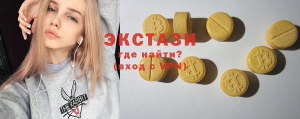 ECSTASY Богородицк