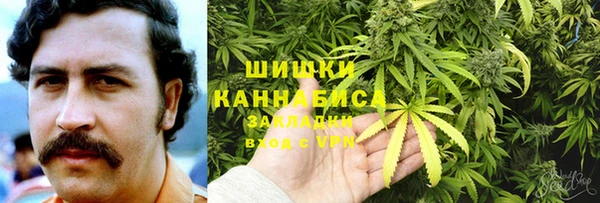 ECSTASY Богородицк