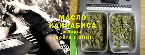 ECSTASY Богородицк