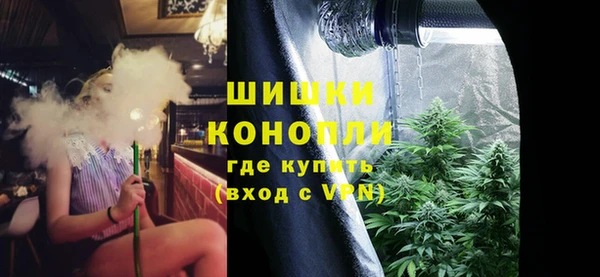 ПСИЛОЦИБИНОВЫЕ ГРИБЫ Михайловка