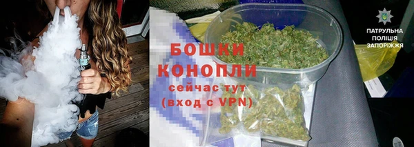 стафф Михайлов
