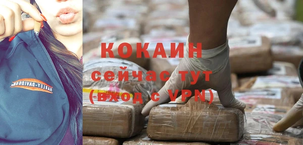 ПСИЛОЦИБИНОВЫЕ ГРИБЫ Михайловка