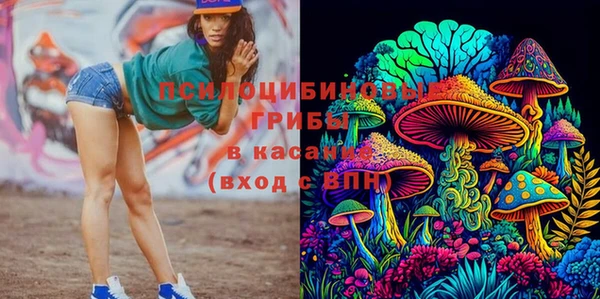 ECSTASY Богородицк