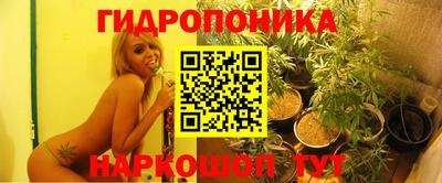 хмурый Дубна