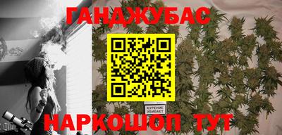 хмурый Дубна