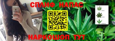 хмурый Дубна