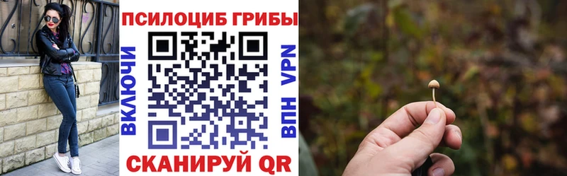Псилоцибиновые грибы мухоморы Шуя