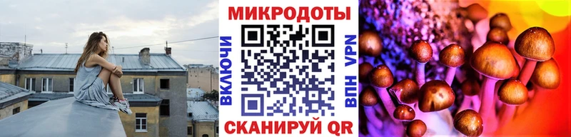 Псилоцибиновые грибы мицелий  Шуя 