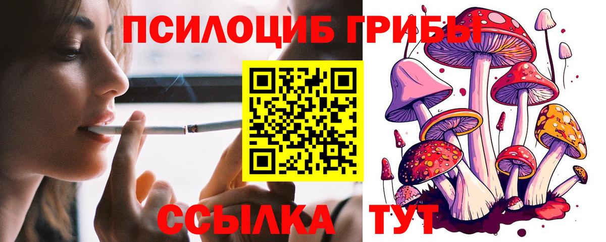 Псилоцибиновые грибы GOLDEN TEACHER Шуя