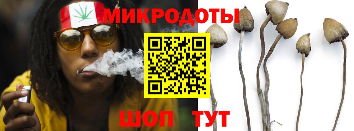 Псилоцибиновые грибы мицелий  Вход с VPN  Шуя 